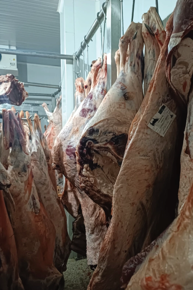 Stockage viande